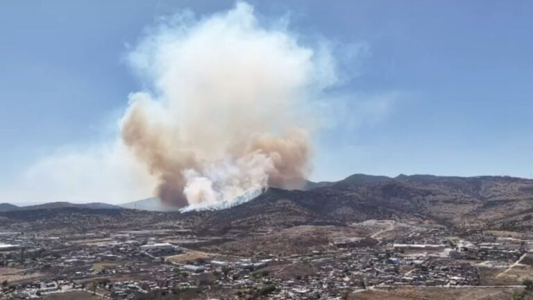 Incendio en Tepotzotlán: Investigaciones Revelan Video del Inicio del Incendio Presuntamente Provocado