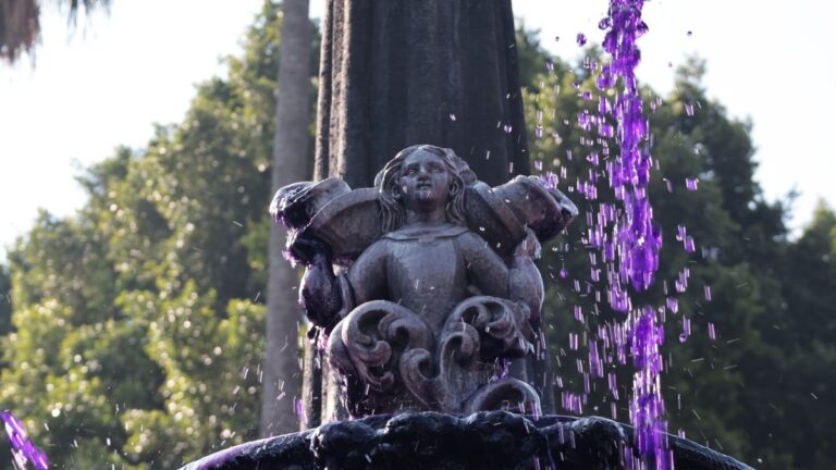 Puebla Limpia Consignas Feministas tras el 8M: Un Paso hacia la Igualdad de Género