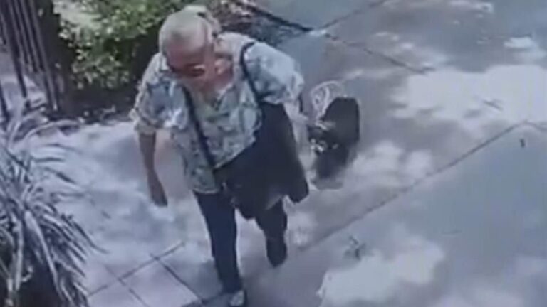 La Mataperros de Coyoacán: El Impactante Caso de la Perrita Moni