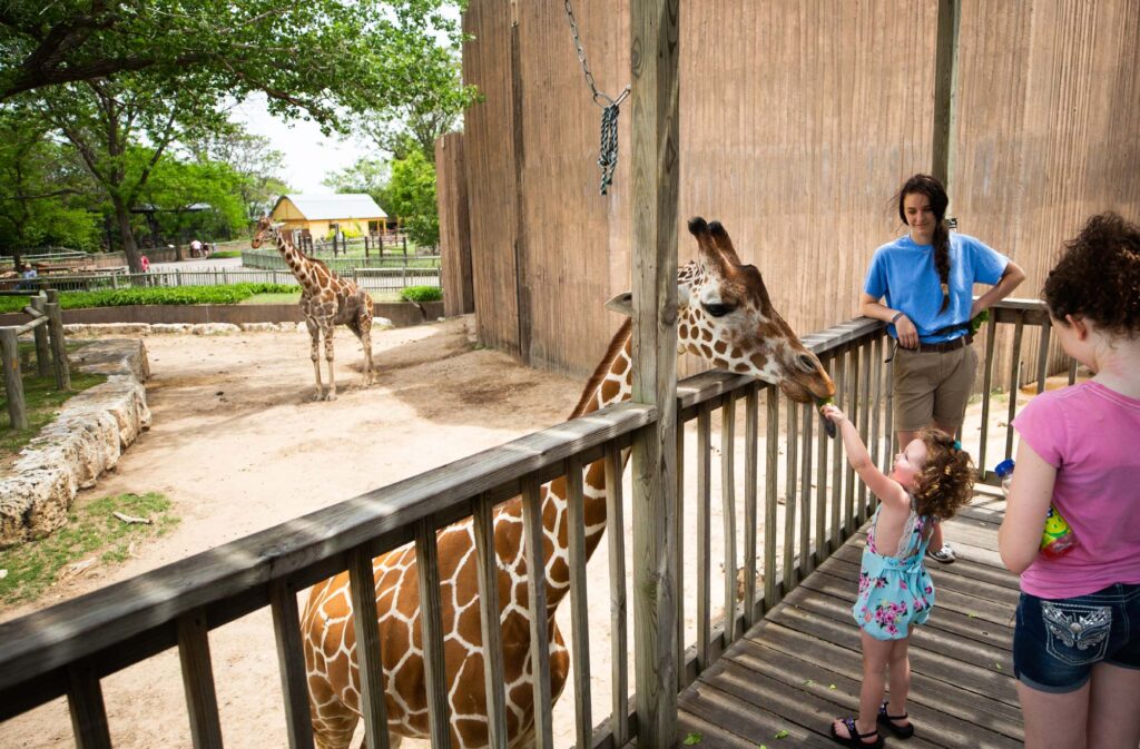 Sedgwick County Zoo: Vota y Ayuda a Posicionarlo entre los Mejores Zoológicos de Estados Unidos