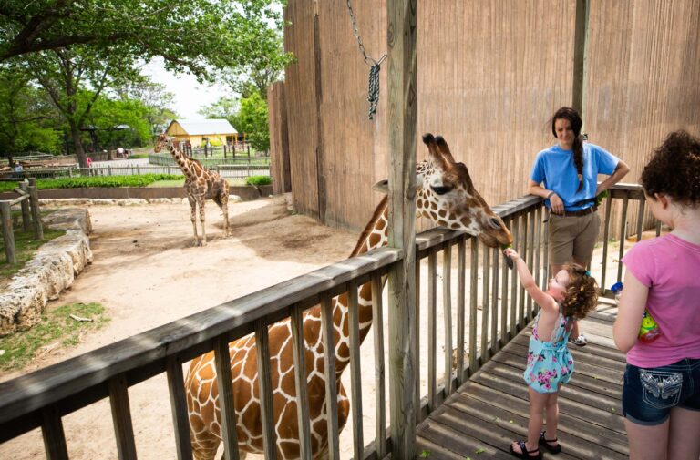 Sedgwick County Zoo: Vota y Ayuda a Posicionarlo entre los Mejores Zoológicos de Estados Unidos