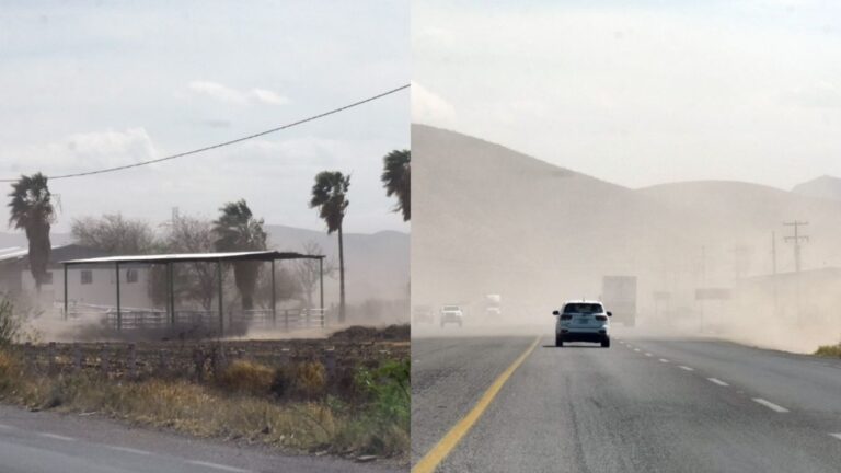 Tolvanera en Torreón: Así Impactó el Terregal de Este Martes