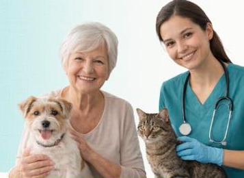 Mascotas: 4 razones que salvan vidas para visitar la clínica gratuita para personas mayores de Reno