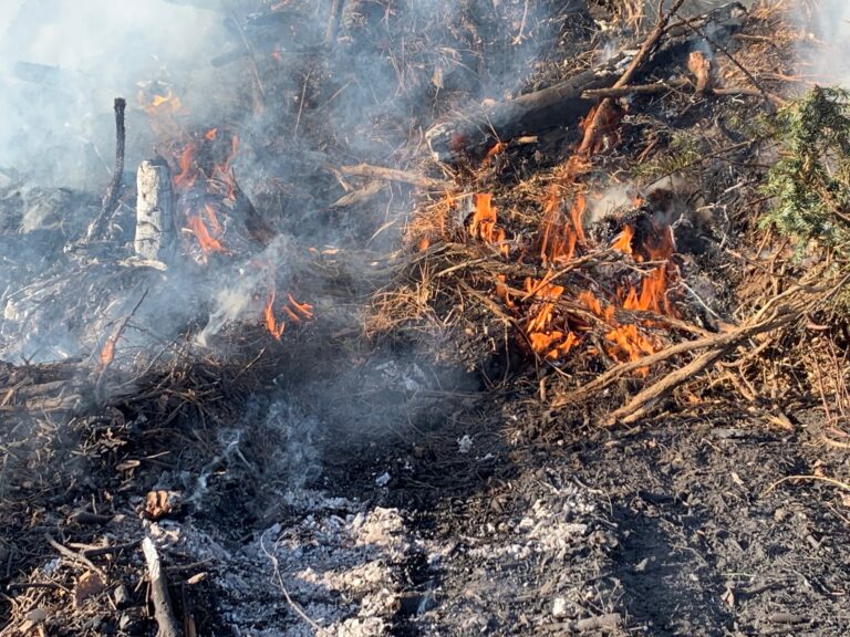 Incendios controlados: TMFPD quemará 50 pilas de vegetación cerca de Mt. Rose Hwy