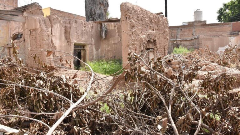 Vecinos de Gómez Palacio se Organizan para Denunciar Tiraderos Ilegales y Proteger el Medio Ambiente