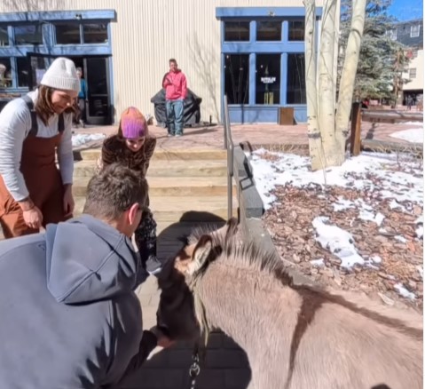 Burro Rescatado en Frisco, Colorado: Sensación Viral y Alegría Comunitaria