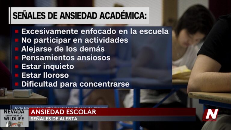 Ansiedad Académica: Cómo Ayudar A Los Estudiantes