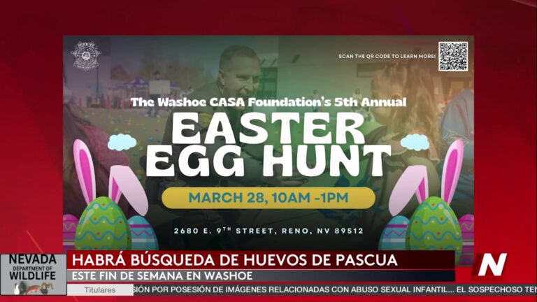 Evento Inclusivo Para Niño En Condado Washoe