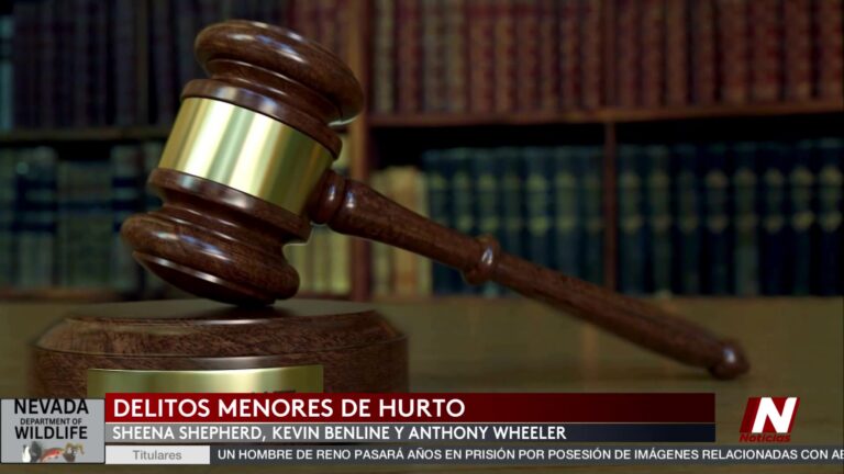 Condenas Por Delitos Menores De Hurto En Sparks