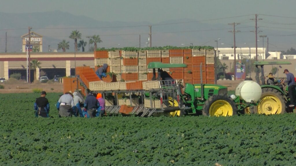 California ofrecerá productos menstruales gratuitos a trabajadoras agrícolas desde 2027