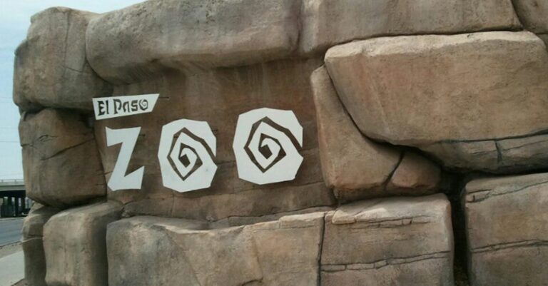 Zoológico de El Paso Extiende Horarios de Apertura para Mayor Acceso