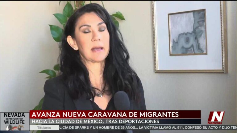 Inmigración: Familia En Angustia TRAS Detención En EE.UU.