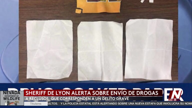 Crisis De Drogas En Prisiones: Alerta En El Condado Lyon