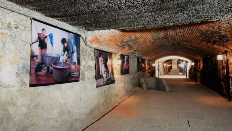 Descubre los Fascinantes Museos en Torreón Durante tus Vacaciones