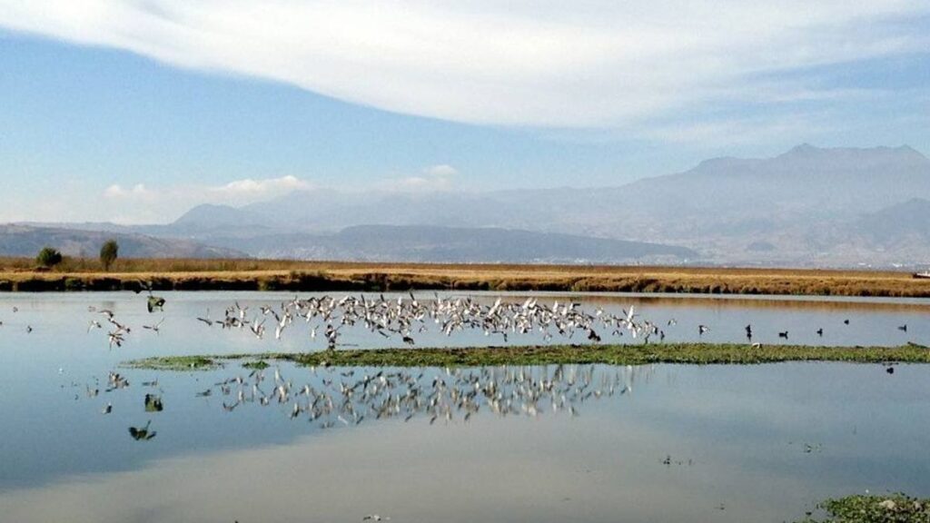 Saneamiento del Río Santiago: Un Reto en Proceso para Conagua