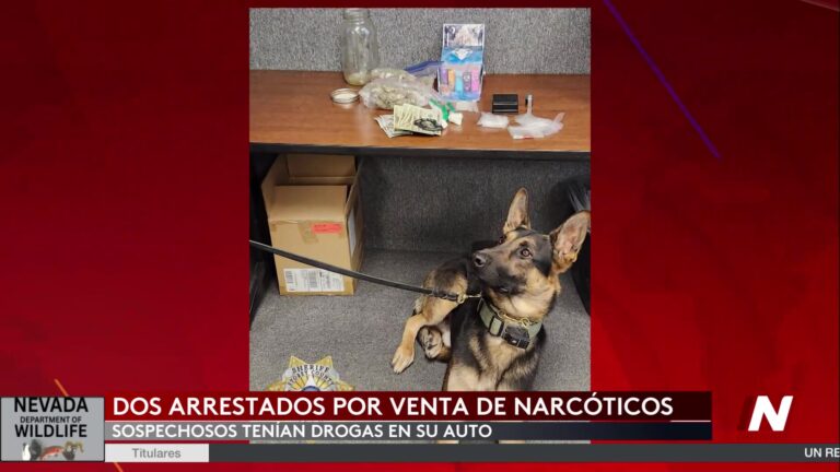 Detención Por Presunto Tráfico De Drogas En El Condado Storey