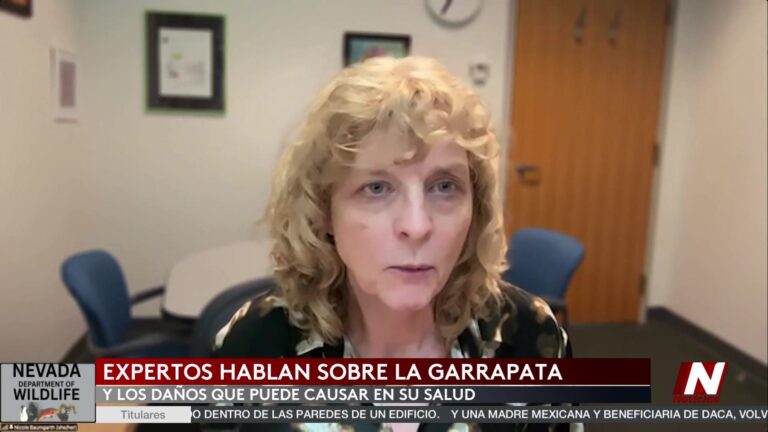 Salud Pública Y Temporada De Garrapatas
