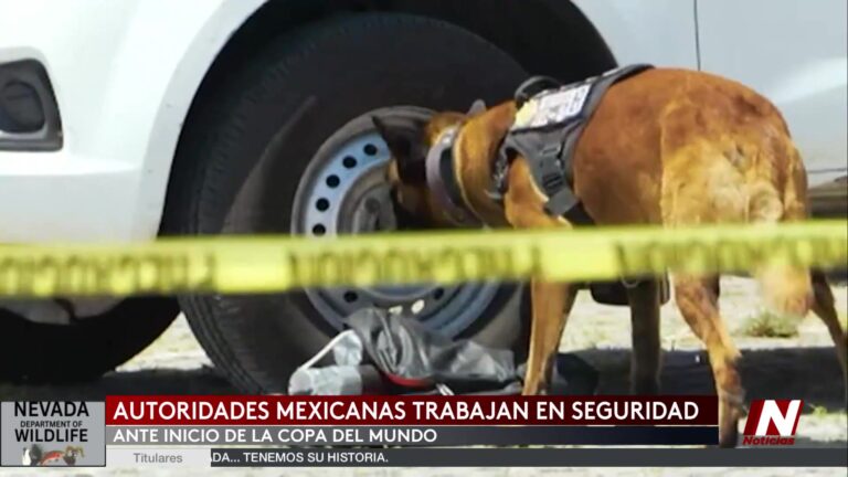 Simulacro De Seguridad En México Para Mundial