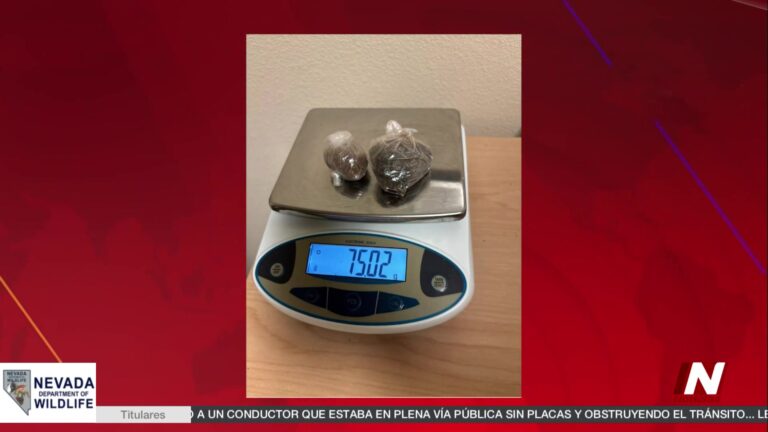 Presunto Distribuidor De Drogas Arrestado En Reno
