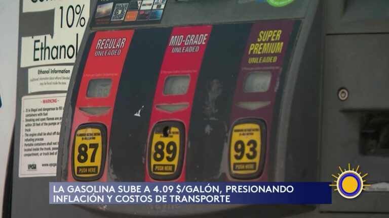 Alza De Precios De La Gasolina Golpea La Economía
