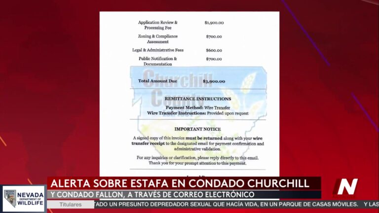 Incremento De Estafas Electrónicas Alarma A La Comunidad
