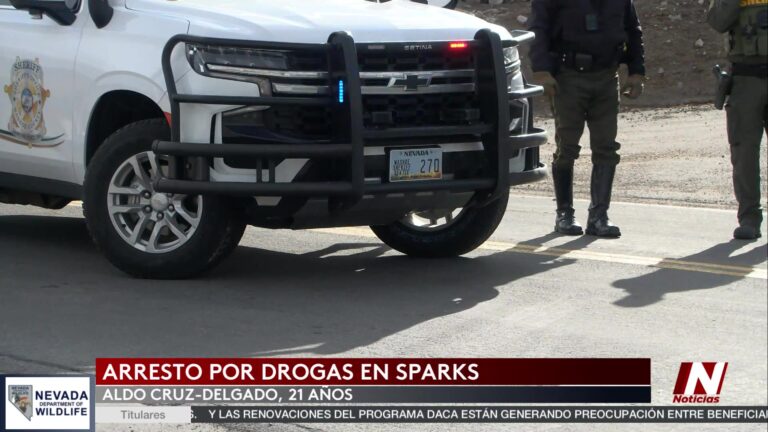 Arresto Por Tráfico De Drogas En Sparks