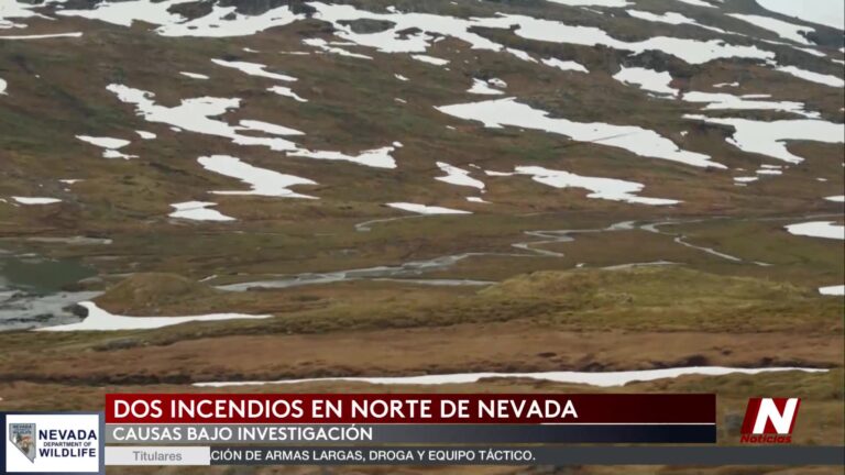 Sequía de Nieve en Nevada: Crisis Hídrica Inminente