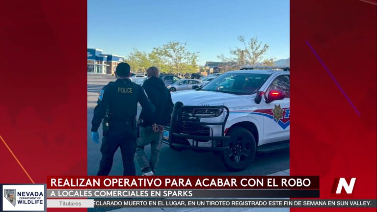 Cooperación Efectiva Contra el Robo en Tiendas en Sparks
