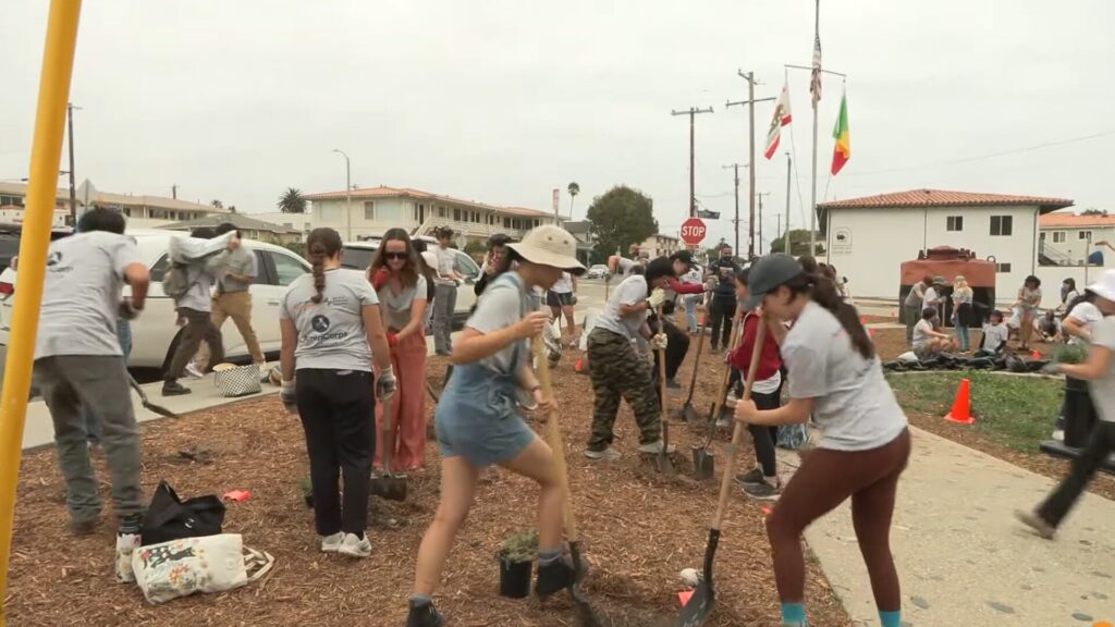 Oportunidades de Servicio Remunerado en San Diego: Únase al California Service Corps