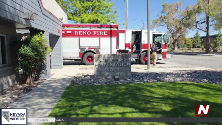 Incendio En Carson City Arrasa Área De Juegos