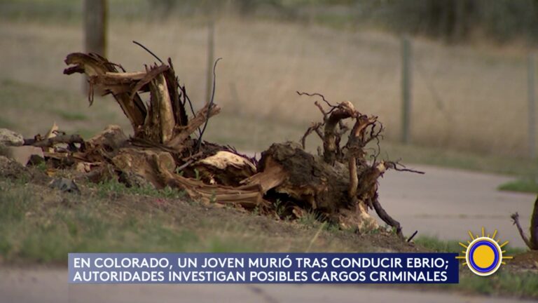 Accidente Fatal En Colorado Por Conducción Bajo Alcohol
