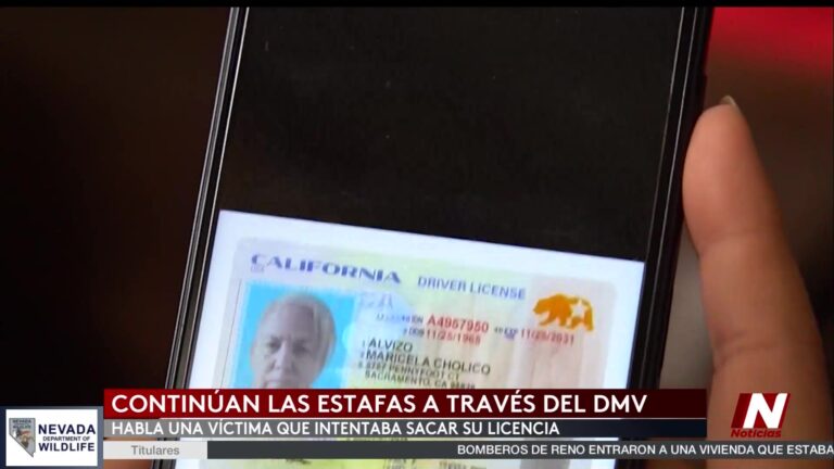El Engaño en el DMV: Fraudes en el Trámite de Licencias