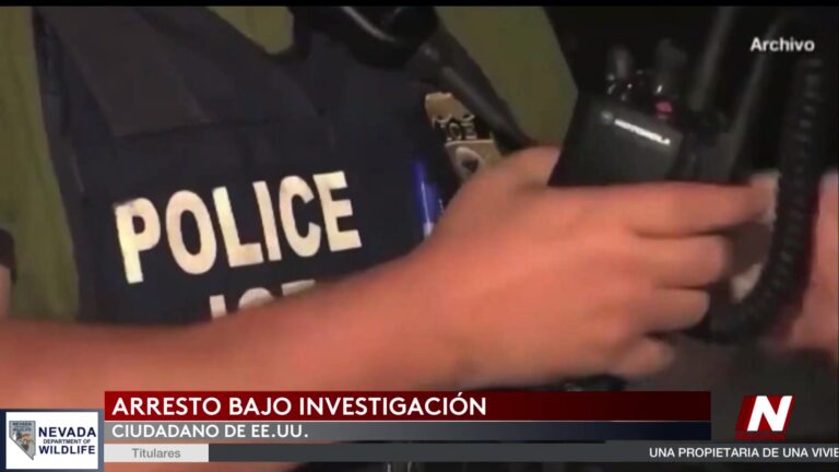 Investigación de Detención en Minnesota
