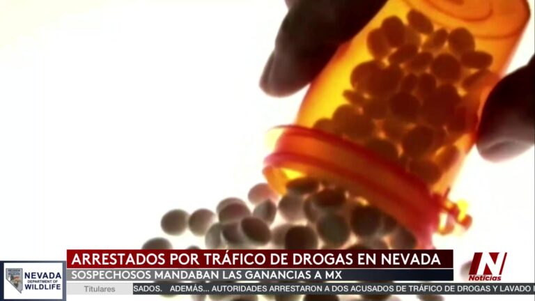 Operativo Antidrogas: Desmantelamiento de Red de Tráfico y Lavado