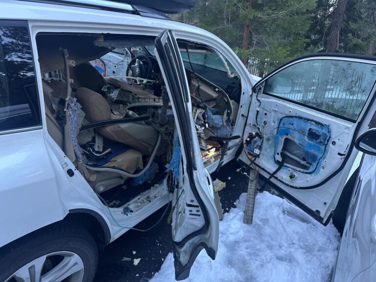 Osos en Tahoe: 5 consejos esenciales para sobrevivir al repunte de primavera
