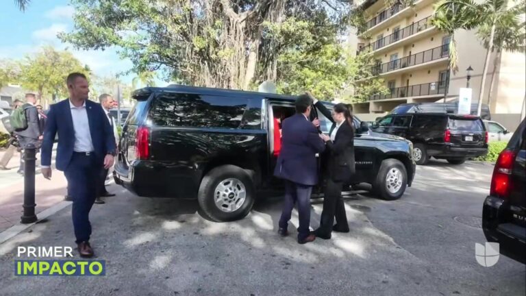 Actividades Realizadas Por La Reina Máxima