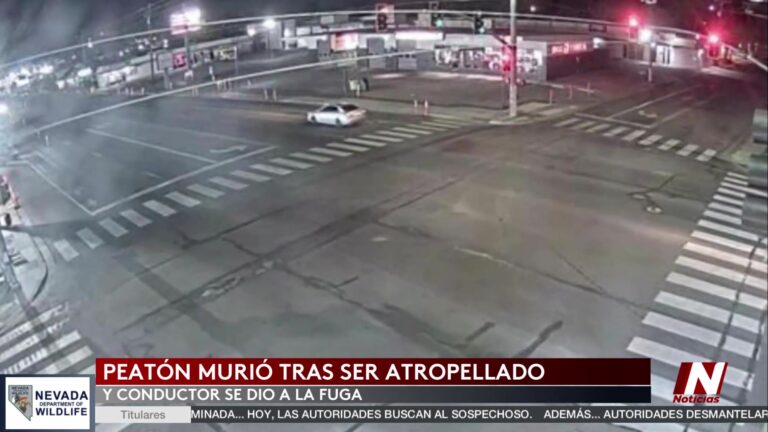 Hit-and-run en Reno: Buscan conductor tras trágico accidente mortal en Kietzke Lane