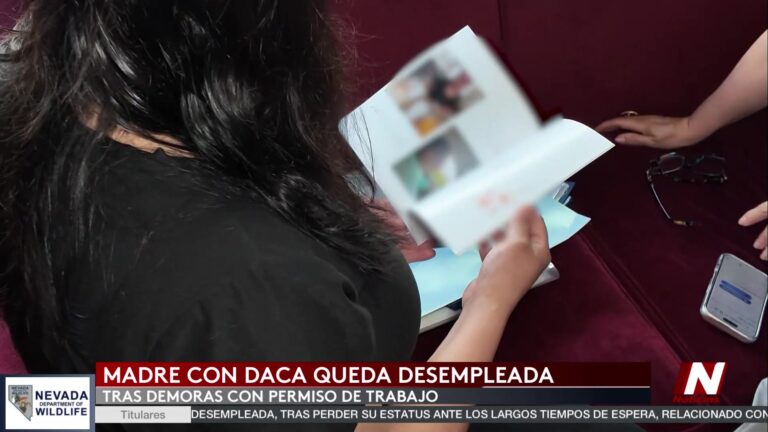 Demoras Migratorias Ponen En Riesgo A Beneficiarios Del Programa DACA
