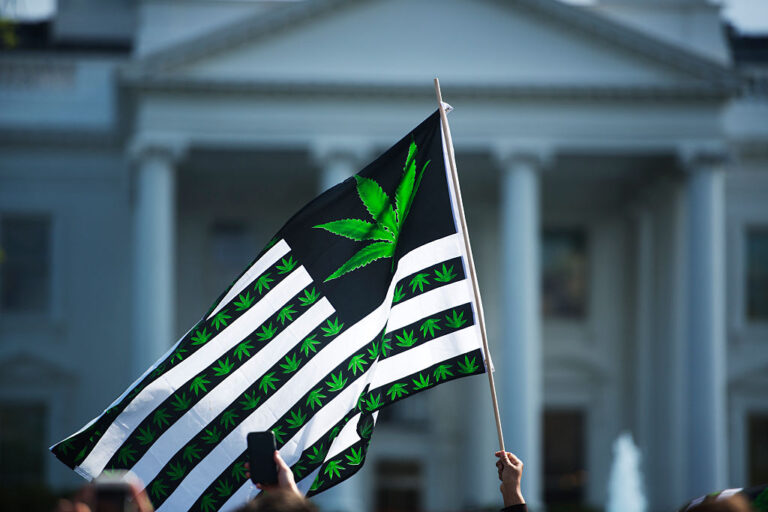Reclasificación de Cannabis en Colorado: Impactos y Cambios Clave