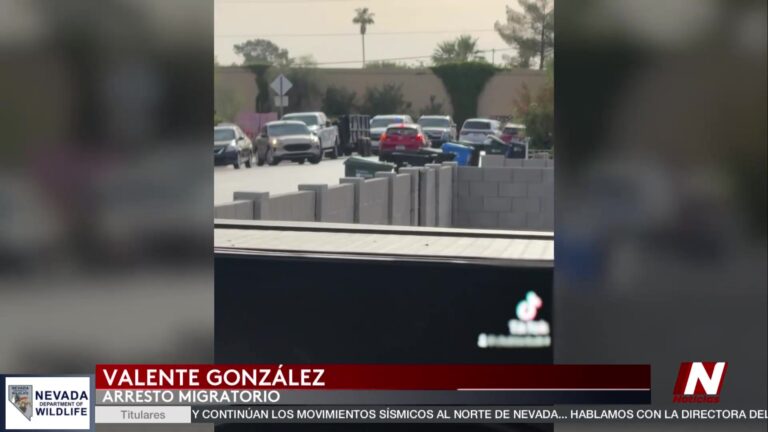 Redadas Y Reacciones: Detención De Padre Hispano En Phoenix Gana Visibilidad Nacional