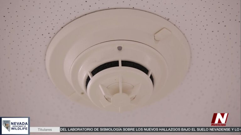 Prevención de Incendios: El Rol de los Detectores de Humo