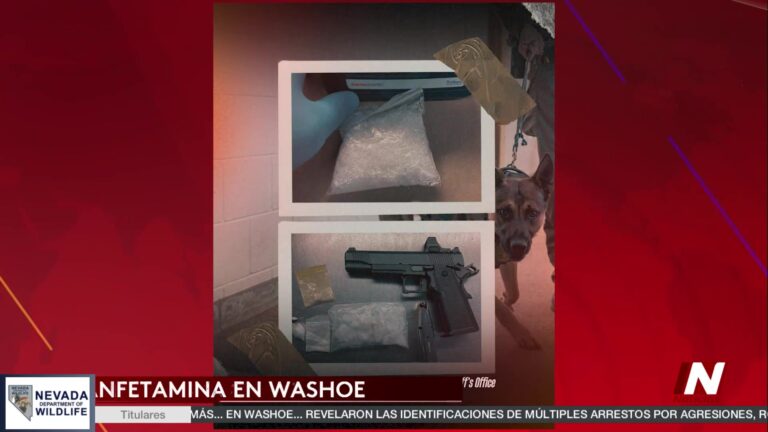 Metanfetamina: 2 detenciones clave tras la intervención de los equipos K9 de la WCSO