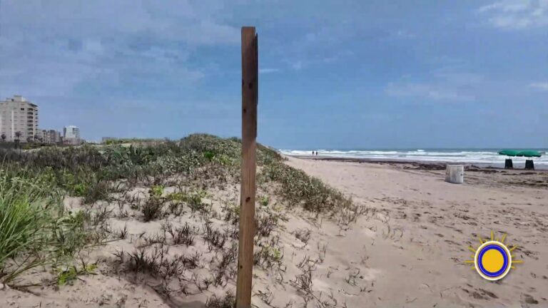 Día Mundial de la Conciencia Ambiental: Un llamado a la sostenibilidad