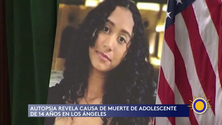 Hallazgo de adolescente en Tesla de cantante David Anthony Burke conmociona a Los Ángeles