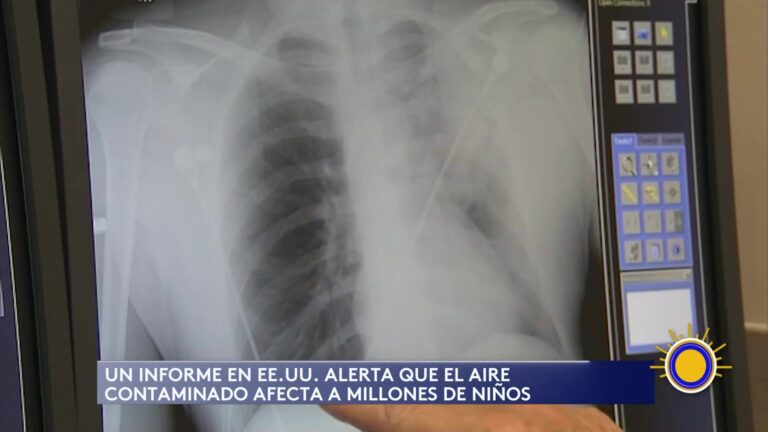 Informe Crítico: La Contaminación Del Aire En EE.UU. Afecta A Millones De Niños