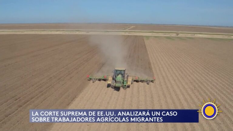 Suprema Corte De EE.UU. Examina Derechos Laborales De Trabajadores Agrícolas