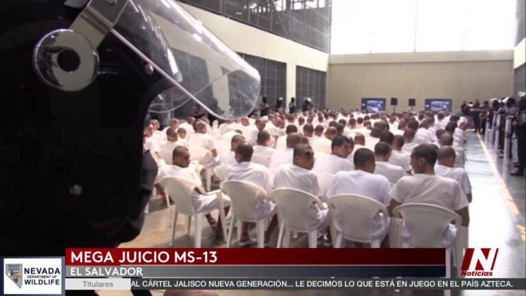 Mega Juicio A Pandilleros De La MS-13 En El Salvador: Cientos Enfrentan La Justicia