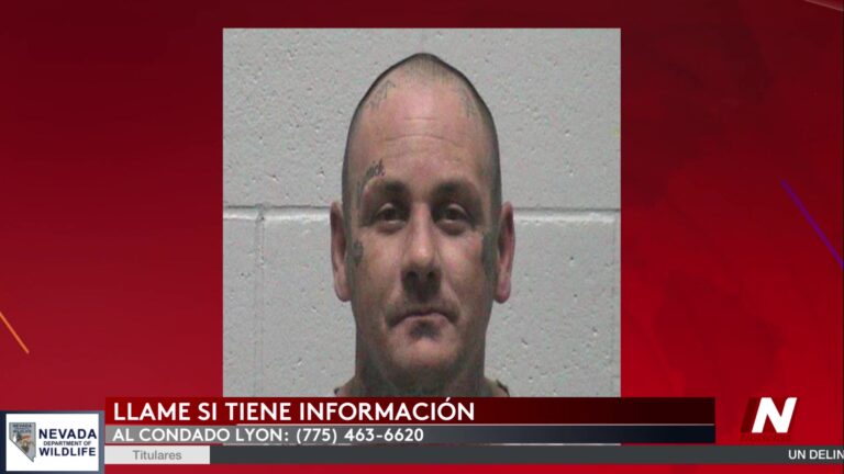 Buscan A Fugitivo Por No Comparecer En Corte De Lyon