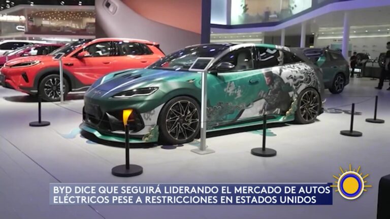 Automotriz China BYD Afirma Que Puede Liderar Sin El Mercado Estadounidense