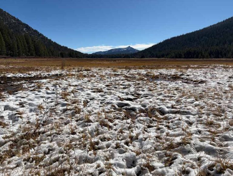 Turberas: 7 secretos globales que podrían salvar nuestro clima